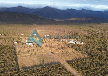 TERRENOS EN VENTA